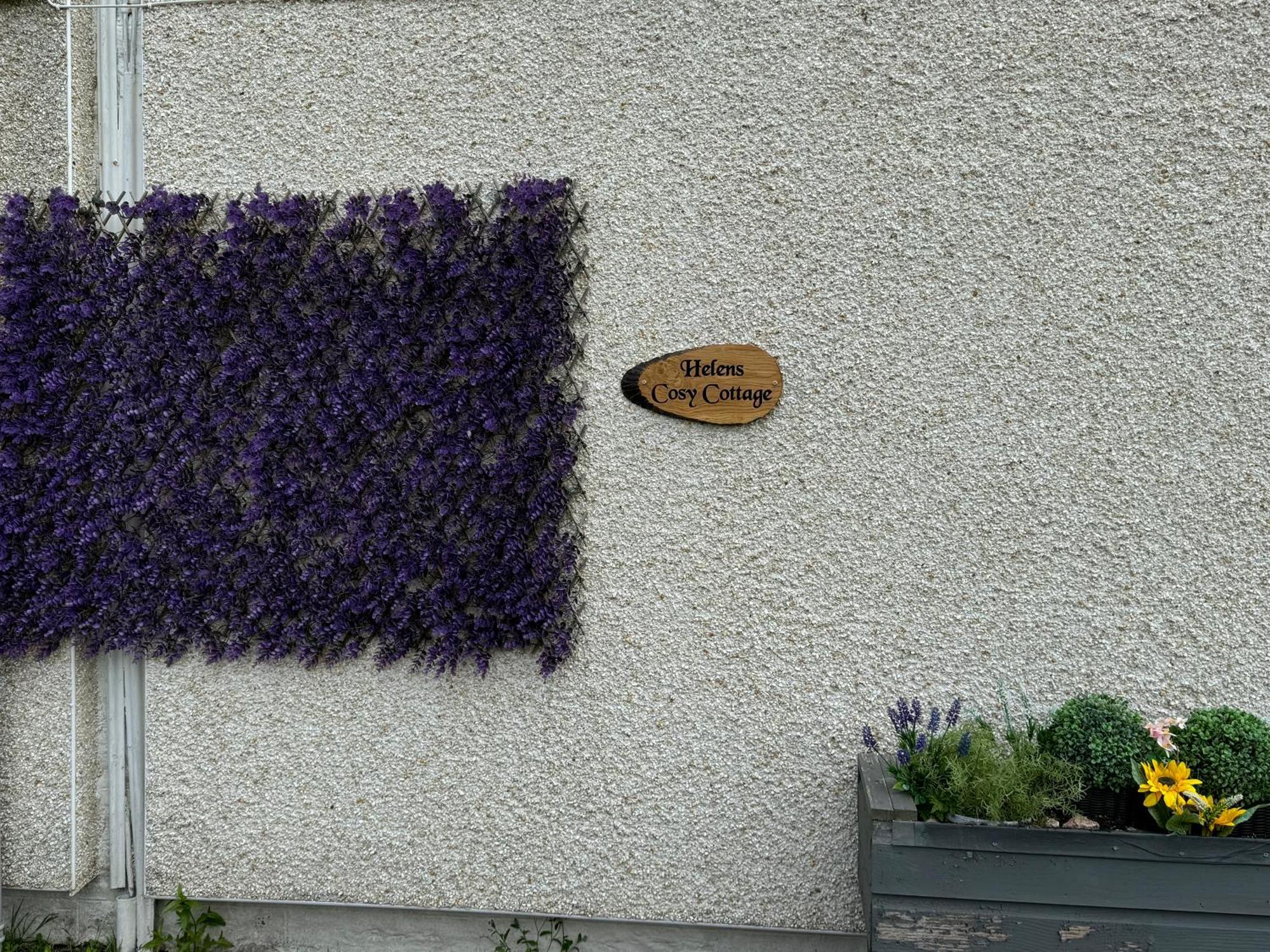 Helens Lybster Cosy Cottage On Nc500 מראה חיצוני תמונה